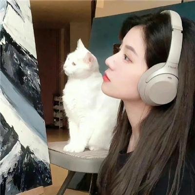 追赶太阳